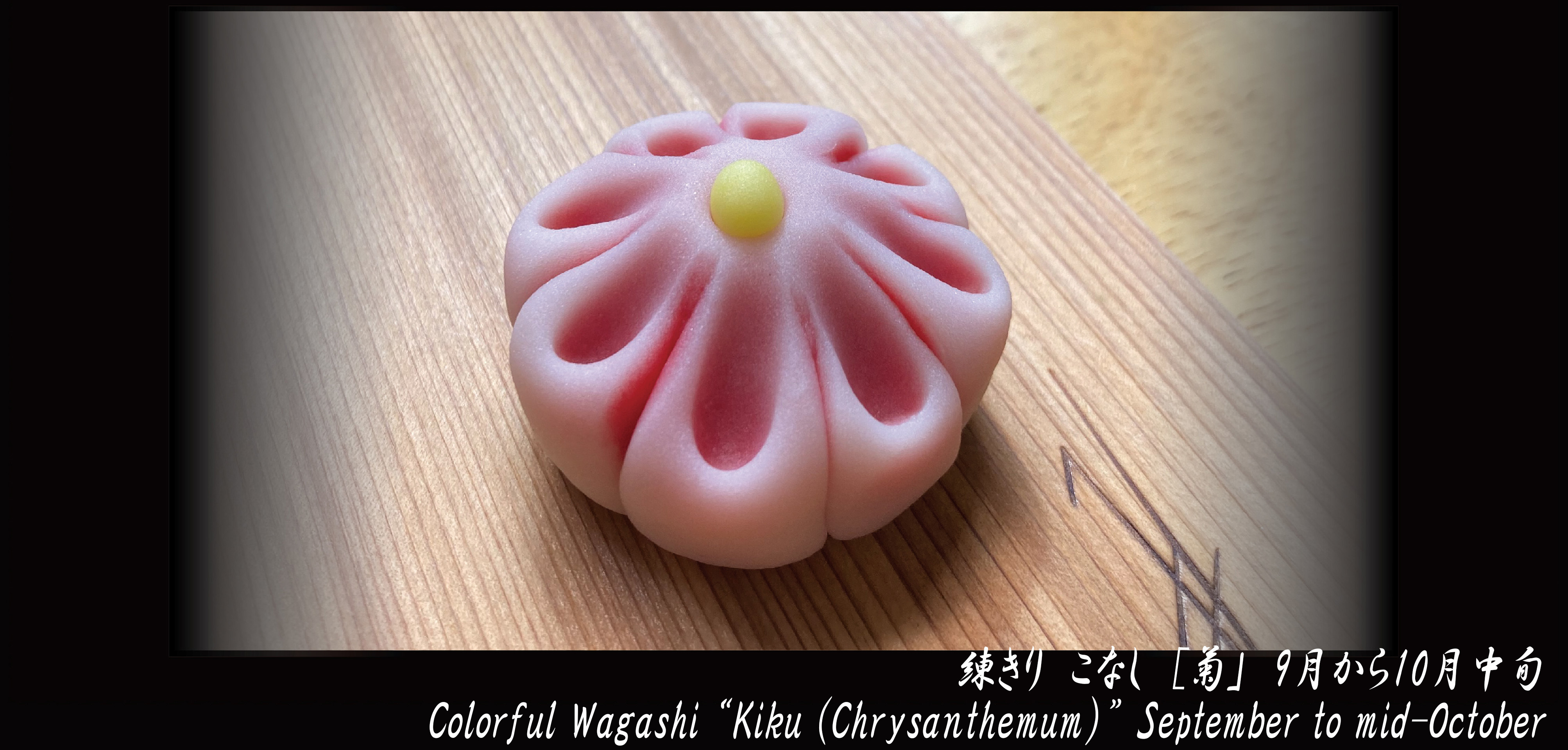 n_kikui01_20211001083820905.jpg