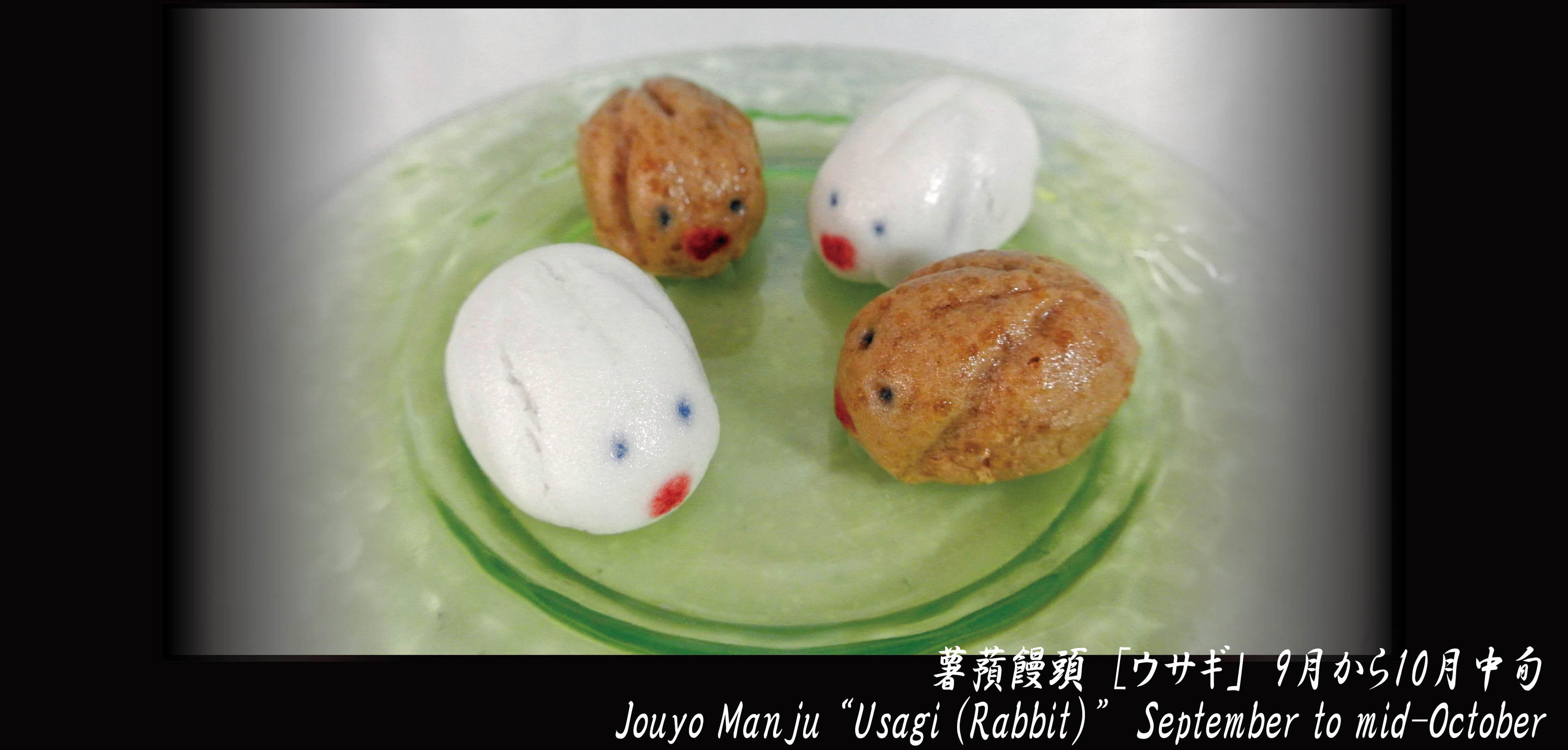 m_usagi02.jpg